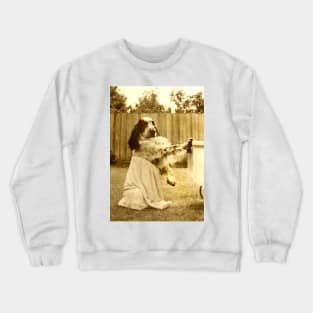 Please...can I go now? Crewneck Sweatshirt